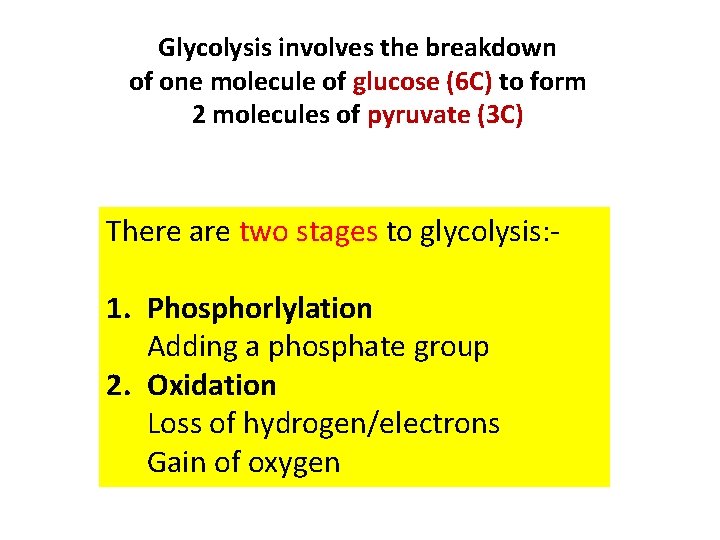 Glycolysis involves the breakdown of one molecule of glucose (6 C) to form 2