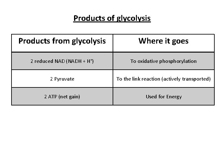 Products of glycolysis Products from glycolysis Where it goes 2 reduced NAD (NADH +