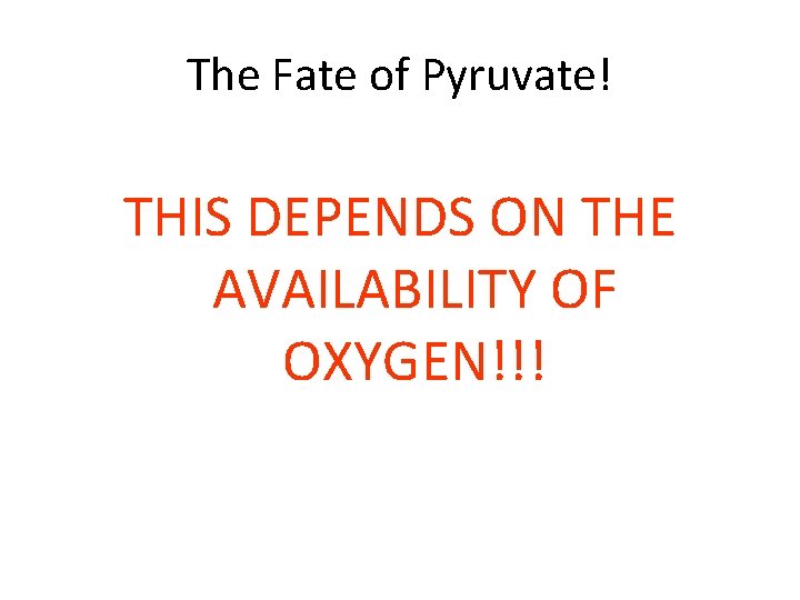 The Fate of Pyruvate! THIS DEPENDS ON THE AVAILABILITY OF OXYGEN!!! 