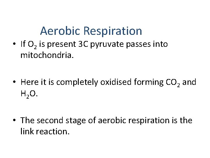 Aerobic Respiration • If O 2 is present 3 C pyruvate passes into mitochondria.