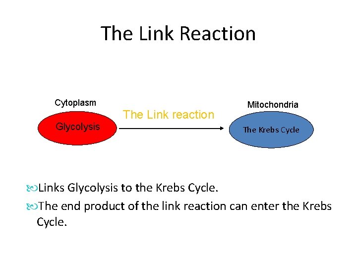 The Link Reaction Cytoplasm Glycolysis The Link reaction Mitochondria The Krebs Cycle Links Glycolysis