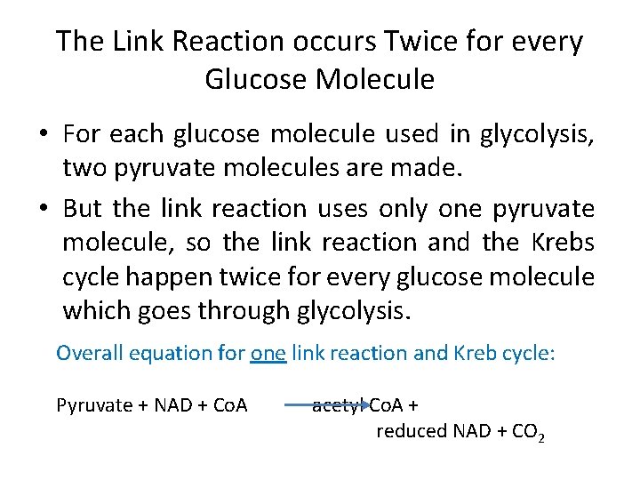 The Link Reaction occurs Twice for every Glucose Molecule • For each glucose molecule