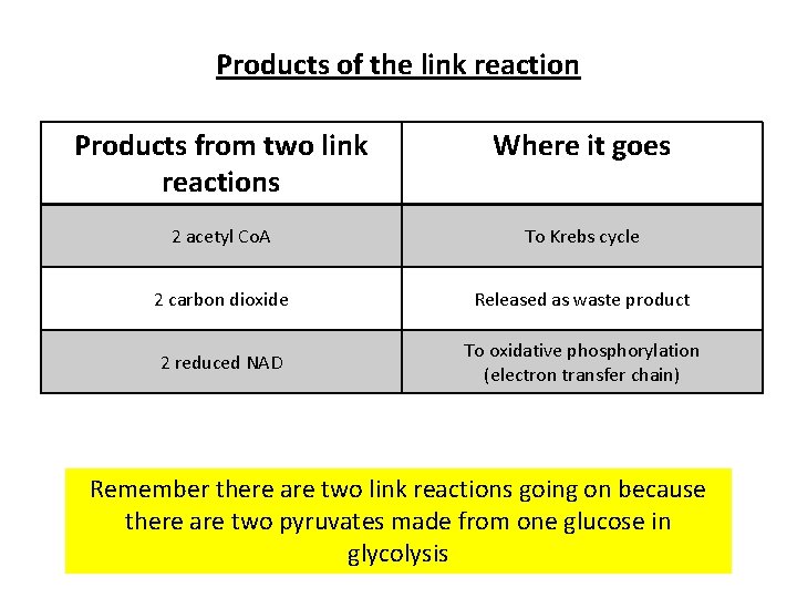 Products of the link reaction Products from two link reactions Where it goes 2