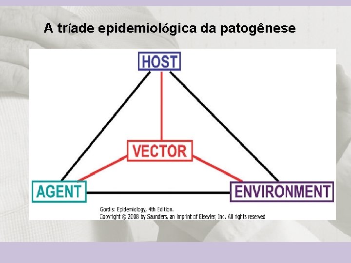 A tríade epidemiológica da patogênese 