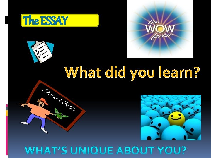 The ESSAY What did you learn? 