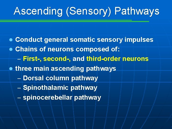 Ascending (Sensory) Pathways Conduct general somatic sensory impulses l Chains of neurons composed of: