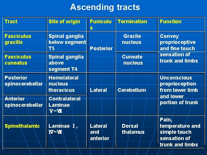 Ascending tracts Tract Site of origin Fasciculus gracilis Spinal ganglia below segment T 5