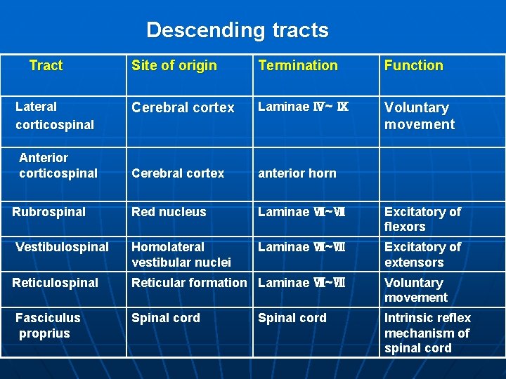 Descending tracts Tract Site of origin Termination Function Cerebral cortex Laminae Ⅳ~ Ⅸ Voluntary