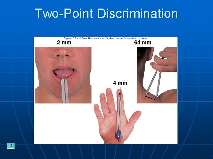 Two-Point Discrimination 