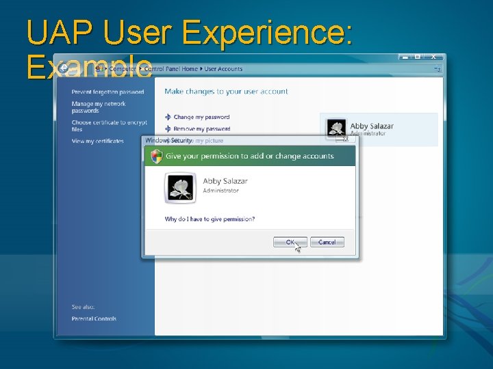 UAP User Experience: Example 