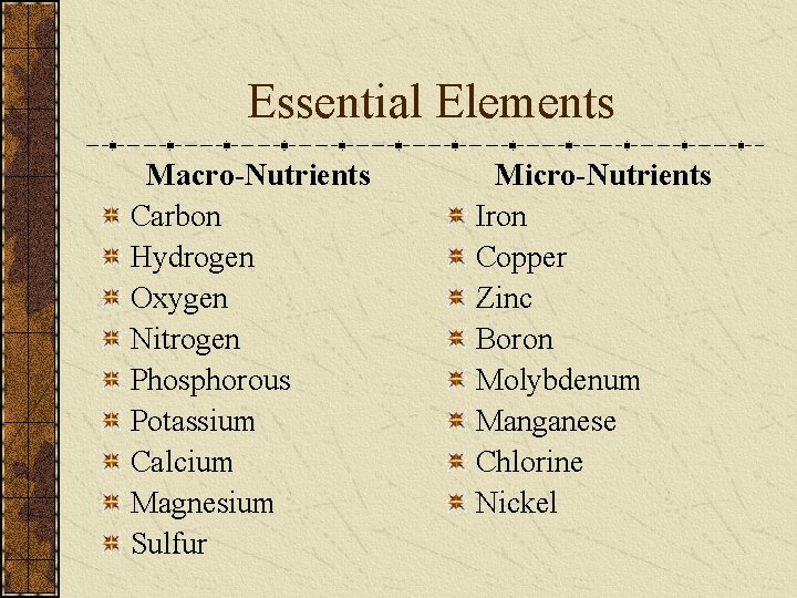 Essential Elements Macro-Nutrients Carbon Hydrogen Oxygen Nitrogen Phosphorous Potassium Calcium Magnesium Sulfur Micro-Nutrients Iron