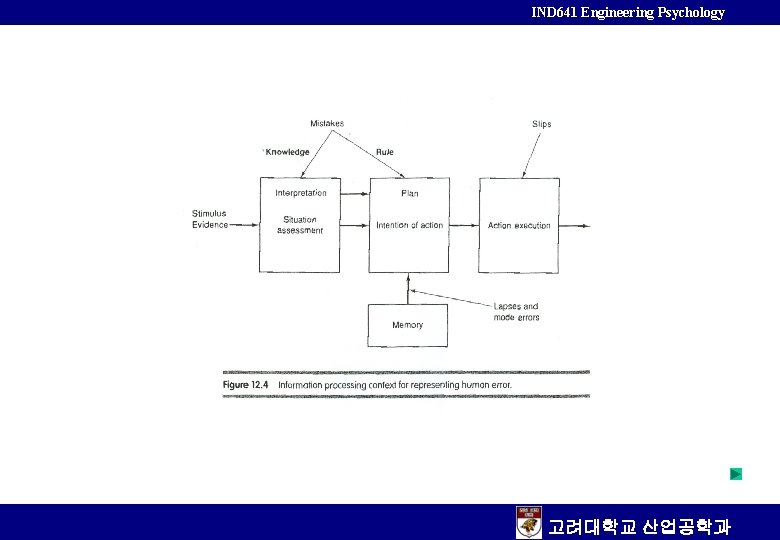 IND 641 Engineering Psychology 고려대학교 산업공학과 