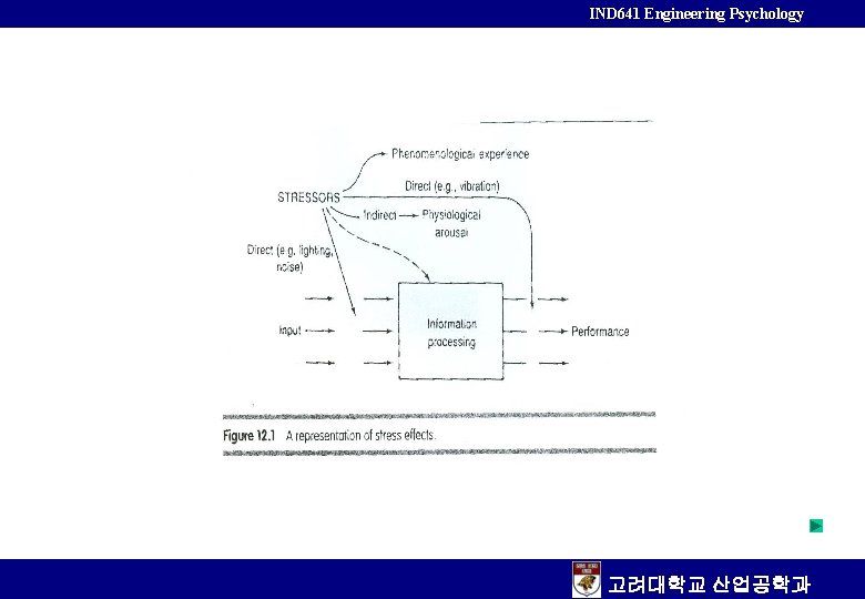 IND 641 Engineering Psychology 고려대학교 산업공학과 