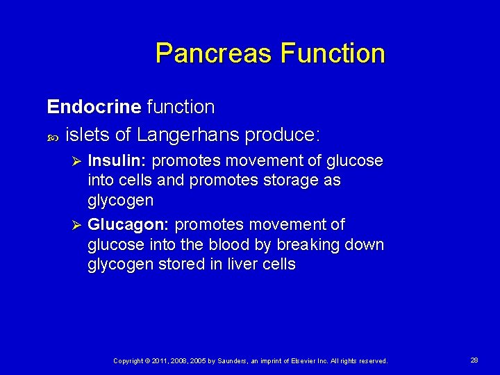 Pancreas Function Endocrine function islets of Langerhans produce: Insulin: promotes movement of glucose into