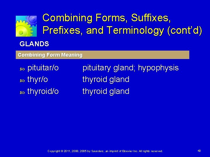 Combining Forms, Suffixes, Prefixes, and Terminology (cont’d) GLANDS Combining Form Meaning pituitar/o thyroid/o pituitary