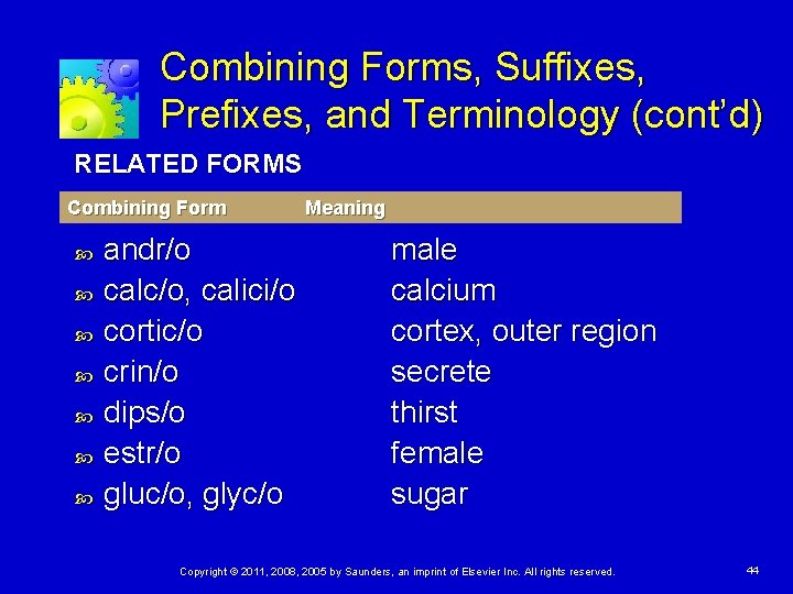 Combining Forms, Suffixes, Prefixes, and Terminology (cont’d) RELATED FORMS Combining Form andr/o calc/o, calici/o