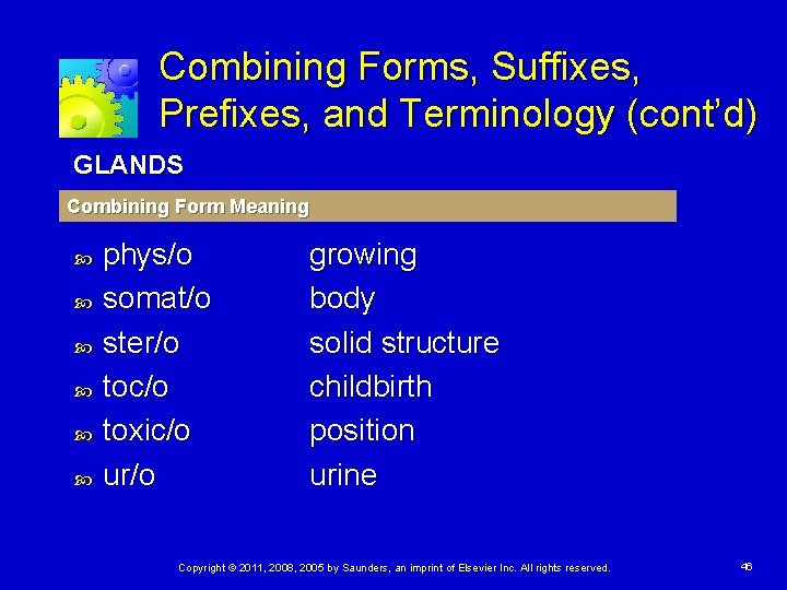 Combining Forms, Suffixes, Prefixes, and Terminology (cont’d) GLANDS Combining Form Meaning phys/o somat/o ster/o