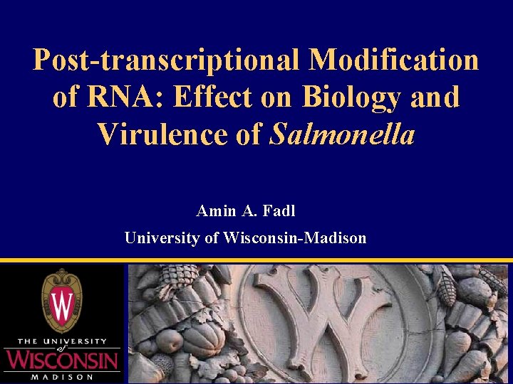 Post-transcriptional Modification of RNA: Effect on Biology and Virulence of Salmonella Amin A. Fadl