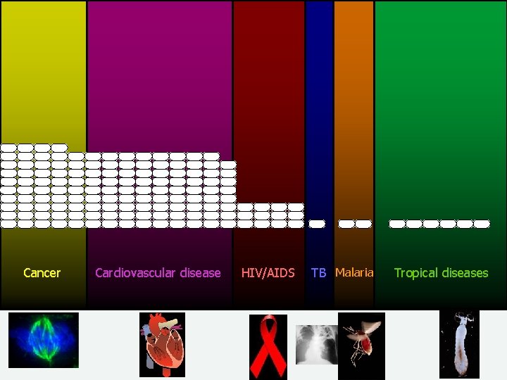 Cancer Cardiovascular disease HIV/AIDS TB Malaria Tropical diseases 