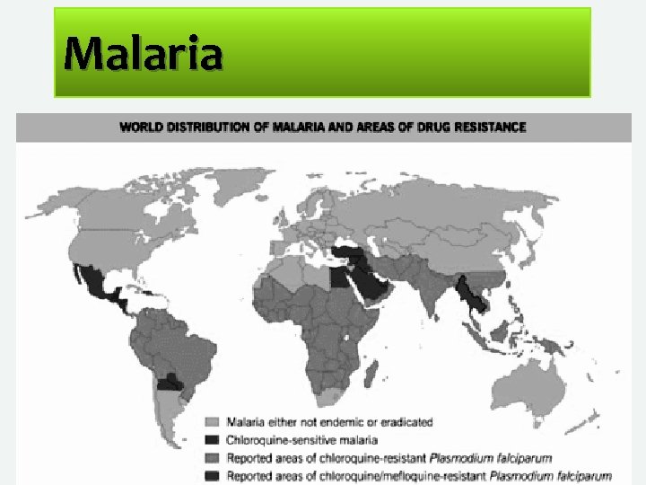 Malaria 