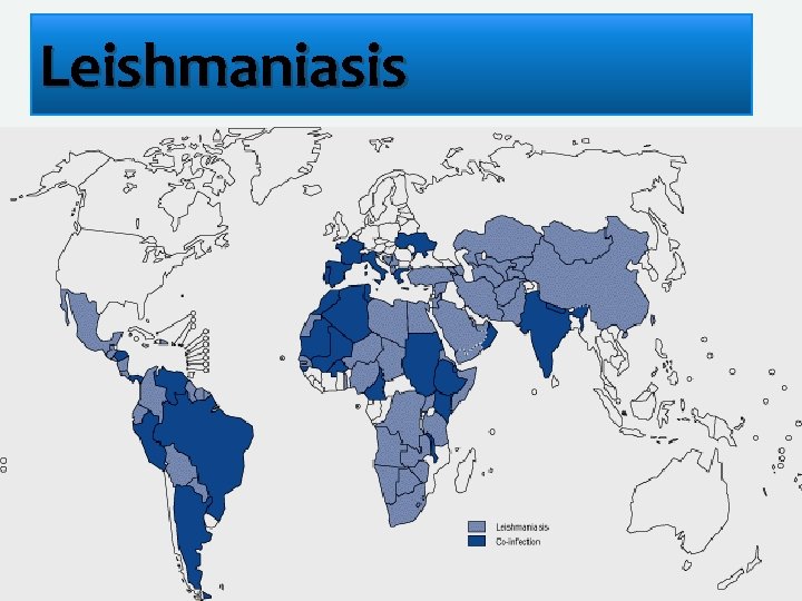 Leishmaniasis 