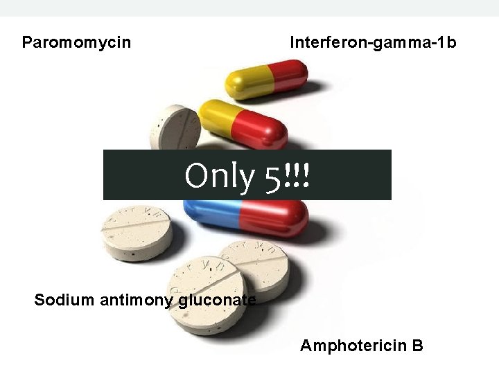 Paromomycin Interferon-gamma-1 b Pentamidine Only 5!!! Sodium antimony gluconate Amphotericin B 