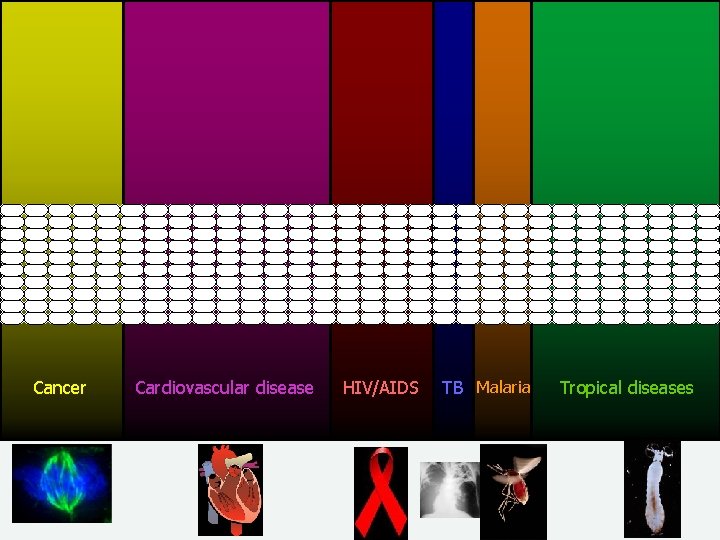 Cancer Cardiovascular disease HIV/AIDS TB Malaria Tropical diseases 