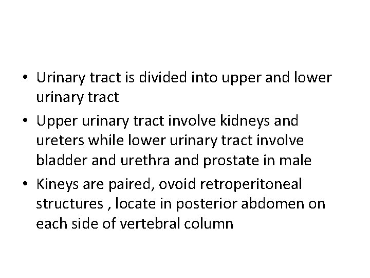  • Urinary tract is divided into upper and lower urinary tract • Upper