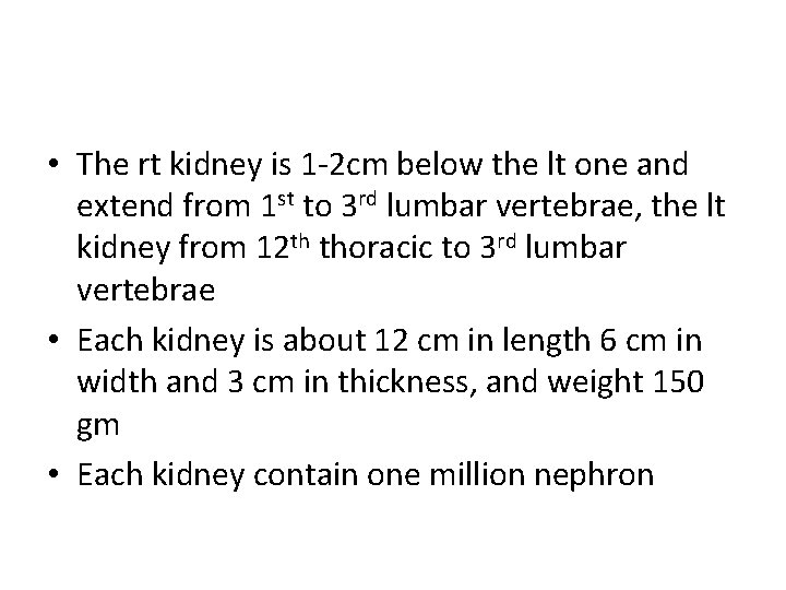  • The rt kidney is 1 -2 cm below the lt one and