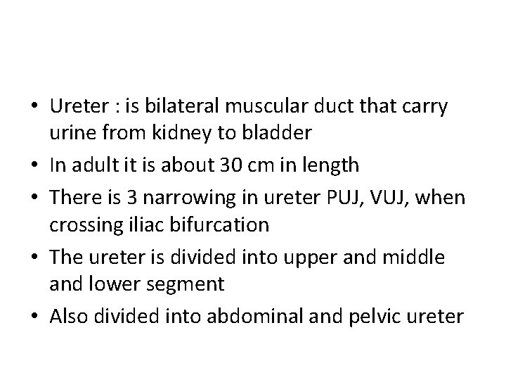 • Ureter : is bilateral muscular duct that carry urine from kidney to