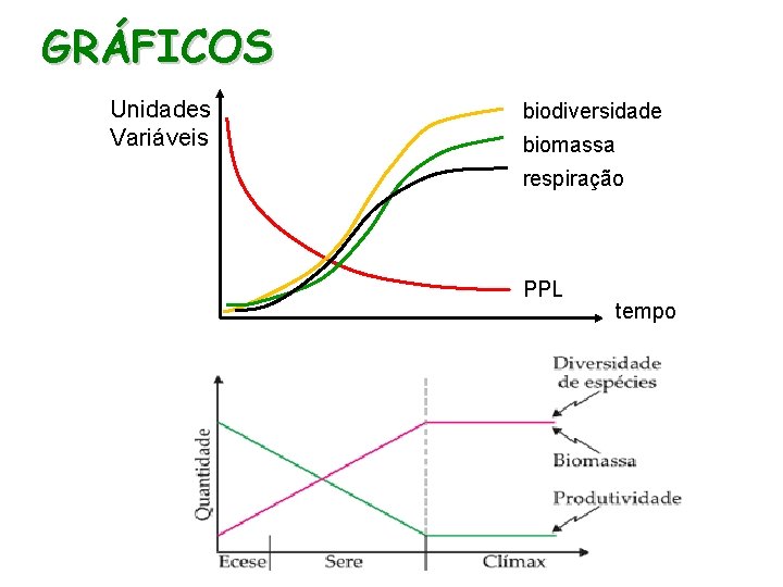 GRÁFICOS Unidades Variáveis biodiversidade biomassa respiração PPL tempo 