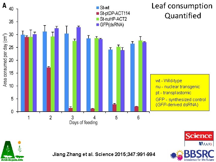 Leaf consumption Quantified wt - Wild-type nu - nuclear transgenic pt - transplastomic GFP Leaf consumption Quantified wt - Wild-type nu - nuclear transgenic pt - transplastomic GFP