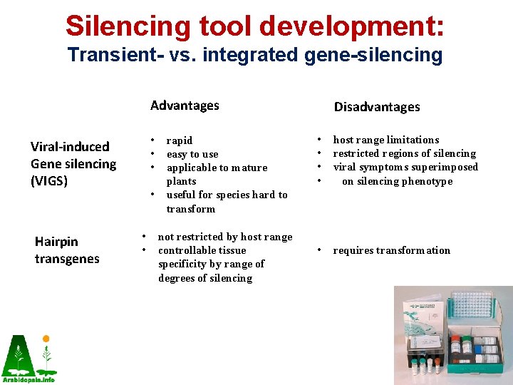 Silencing tool development: Transient- vs. integrated gene-silencing Advantages • • • Viral-induced Gene silencing Silencing tool development: Transient- vs. integrated gene-silencing Advantages • • • Viral-induced Gene silencing