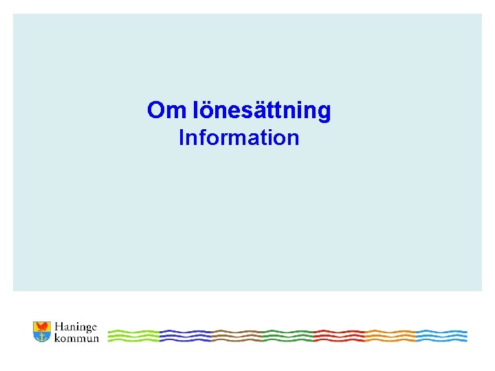 Om lönesättning Information 