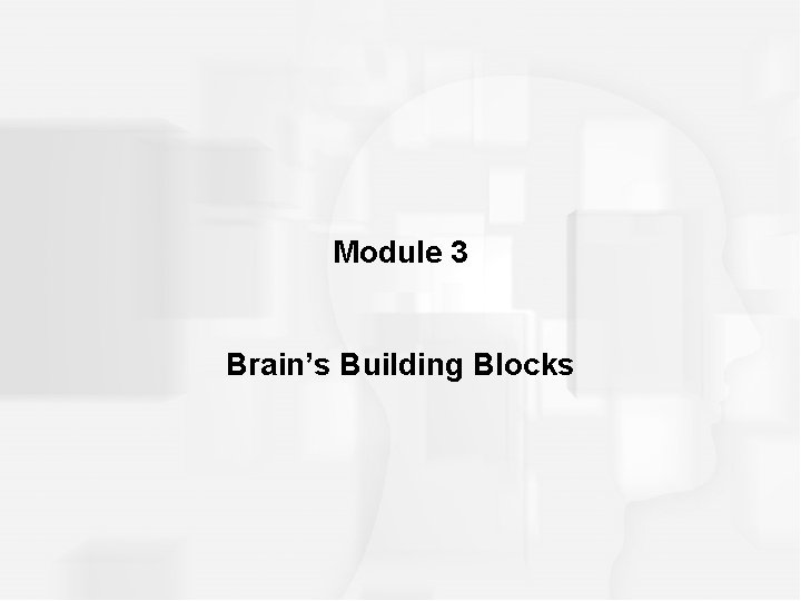 Module 3 Brain’s Building Blocks 