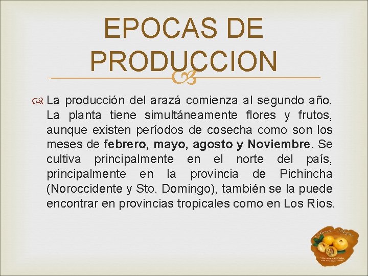 EPOCAS DE PRODUCCION La producción del arazá comienza al segundo año. La planta tiene