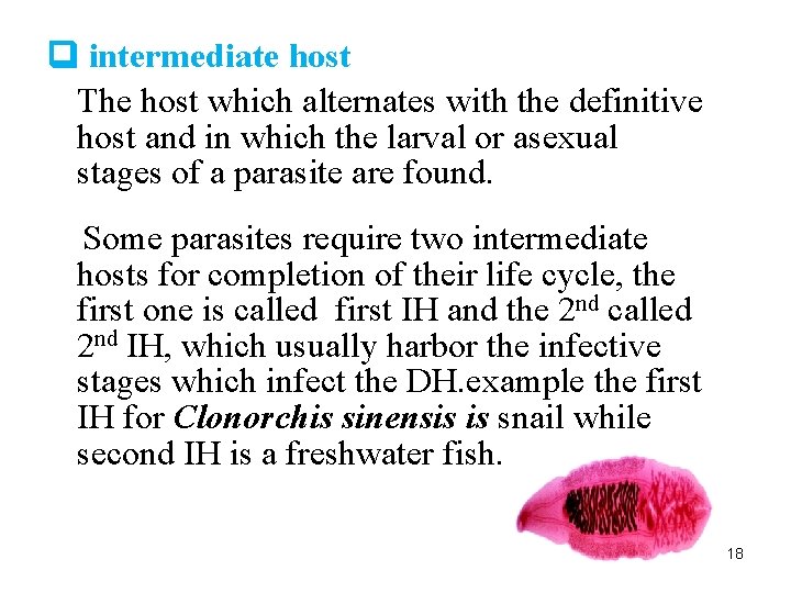  intermediate host The host which alternates with the definitive host and in which