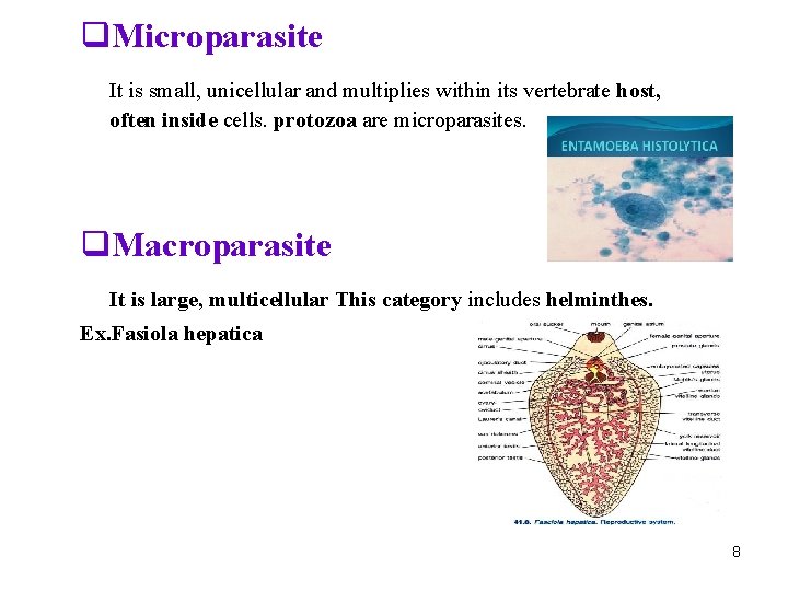 q. Microparasite It is small, unicellular and multiplies within its vertebrate host, often inside