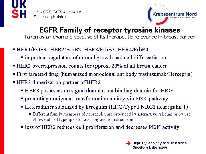 UNIVERSITÄTSKLINIKUM Schleswig-Holstein EGFR Family of receptor tyrosine kinases Taken as an example because of