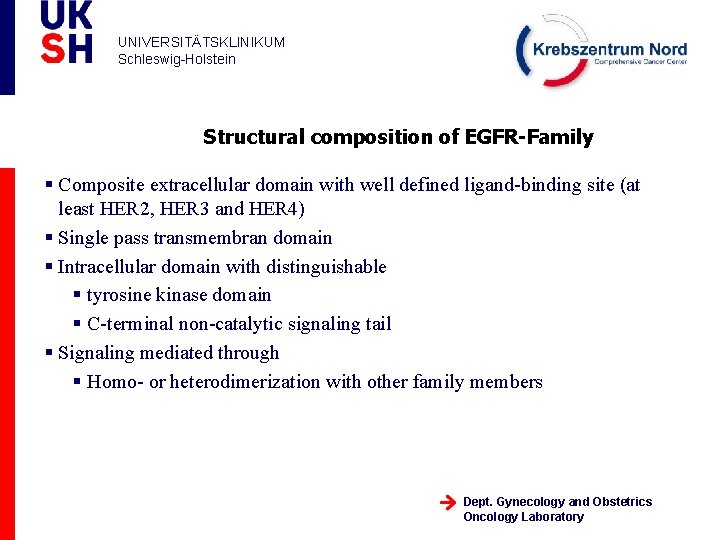 UNIVERSITÄTSKLINIKUM Schleswig-Holstein Structural composition of EGFR-Family § Composite extracellular domain with well defined ligand-binding