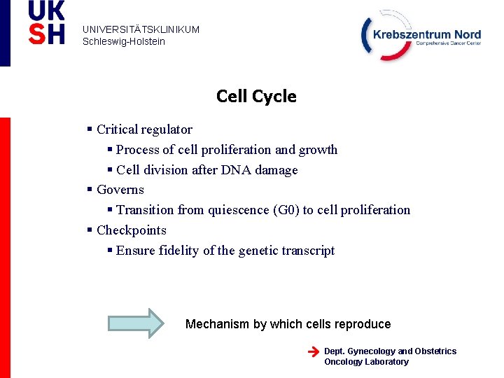 UNIVERSITÄTSKLINIKUM Schleswig-Holstein Cell Cycle § Critical regulator § Process of cell proliferation and growth