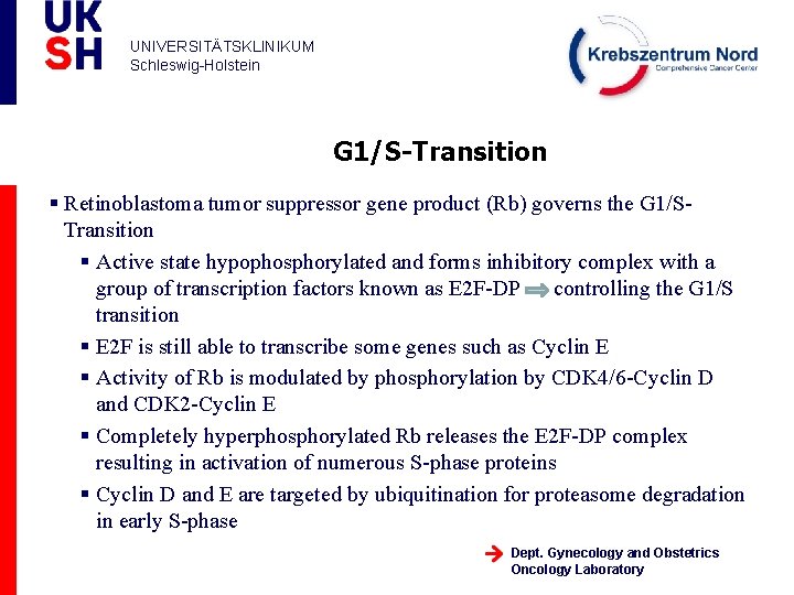 UNIVERSITÄTSKLINIKUM Schleswig-Holstein G 1/S-Transition § Retinoblastoma tumor suppressor gene product (Rb) governs the G