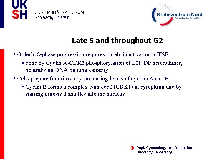 UNIVERSITÄTSKLINIKUM Schleswig-Holstein Late S and throughout G 2 § Orderly S-phase progression requires timely