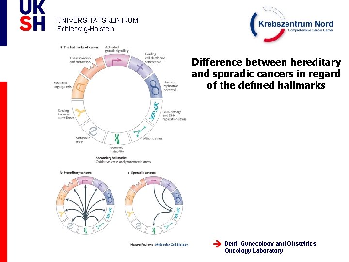 UNIVERSITÄTSKLINIKUM Schleswig-Holstein Difference between hereditary and sporadic cancers in regard of the defined hallmarks