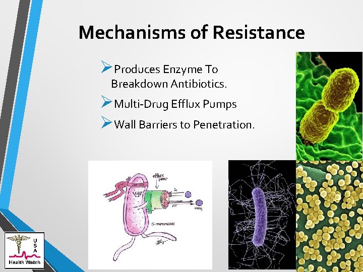 Mechanisms of Resistance ØProduces Enzyme To Breakdown Antibiotics. ØMulti-Drug Efflux Pumps ØWall Barriers to