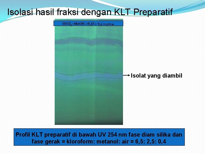 Isolasi hasil fraksi dengan KLT Preparatif CHCl 3 : Me. OH : H 2