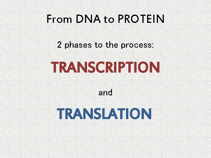 From DNA to PROTEIN 2 phases to the process: TRANSCRIPTION and TRANSLATION 