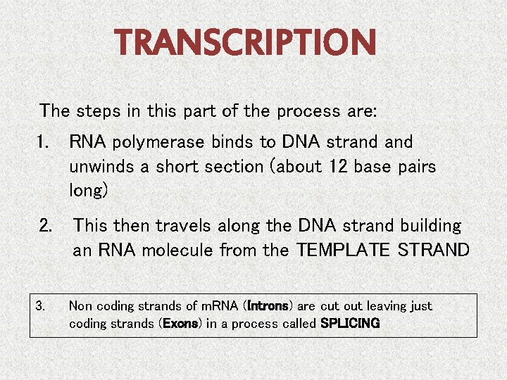 TRANSCRIPTION The steps in this part of the process are: 1. RNA polymerase binds