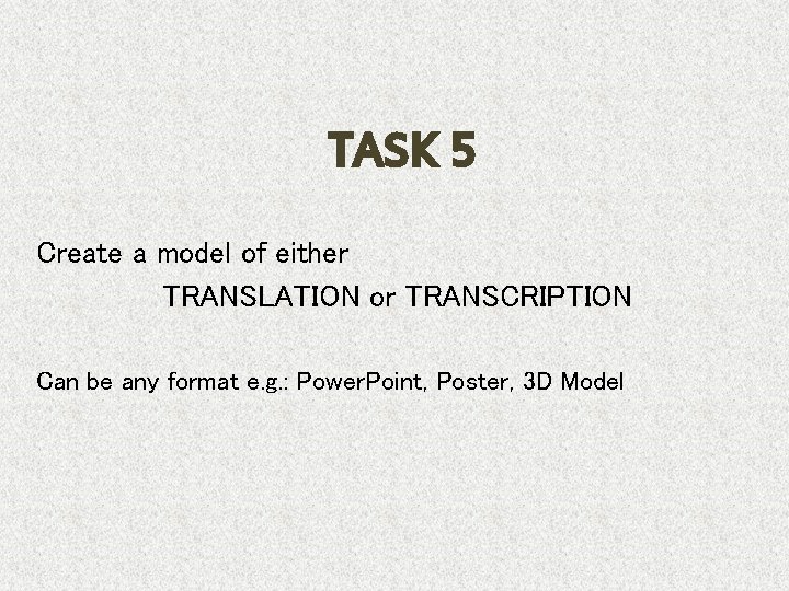 TASK 5 Create a model of either TRANSLATION or TRANSCRIPTION Can be any format