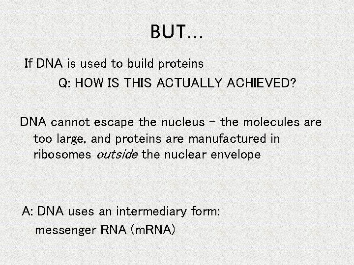 BUT. . . If DNA is used to build proteins Q: HOW IS THIS